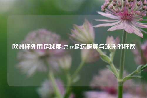 欧洲杯外围足球度c77 tv足坛盛宴与球迷的狂欢