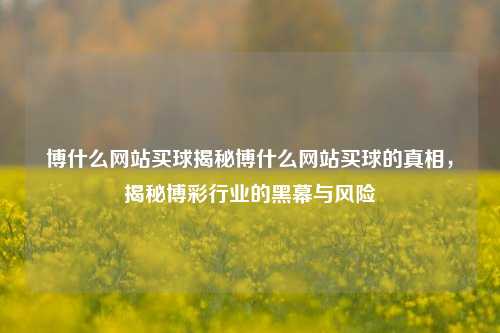 博什么网站买球揭秘博什么网站买球的真相，揭秘博彩行业的黑幕与风险