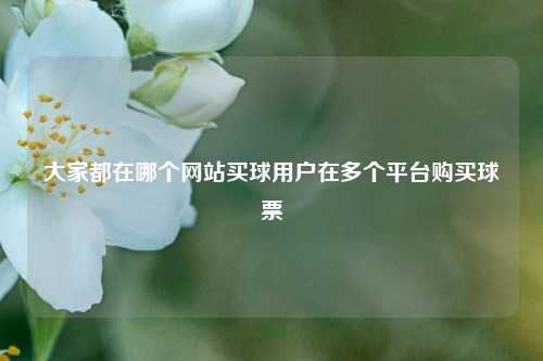 大家都在哪个网站买球用户在多个平台购买球票