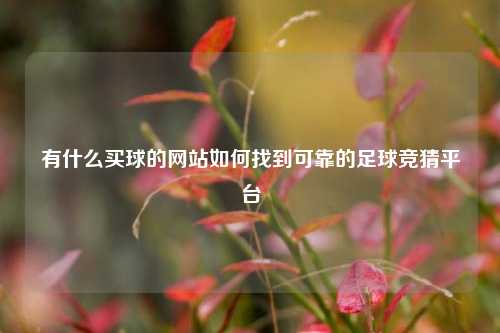 有什么买球的网站如何找到可靠的足球竞猜平台