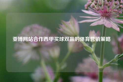 亚博网站合作西甲买球双赢的体育营销策略