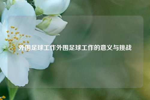外围足球工作外围足球工作的意义与挑战