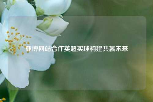 亚博网站合作英超买球构建共赢未来