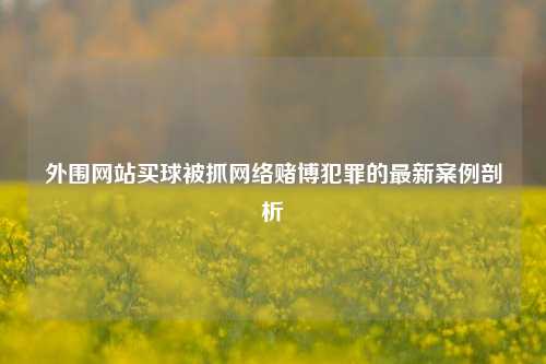 外围网站买球被抓网络赌博犯罪的最新案例剖析