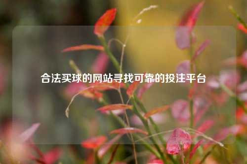 合法买球的网站寻找可靠的投注平台
