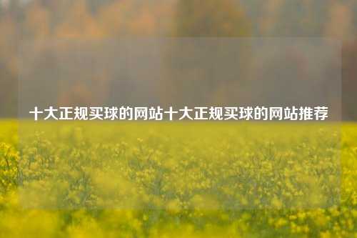 十大正规买球的网站十大正规买球的网站推荐