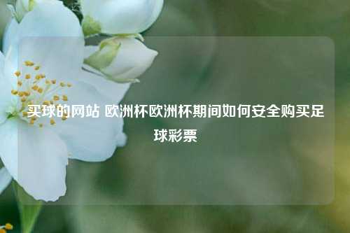 买球的网站 欧洲杯欧洲杯期间如何安全购买足球彩票
