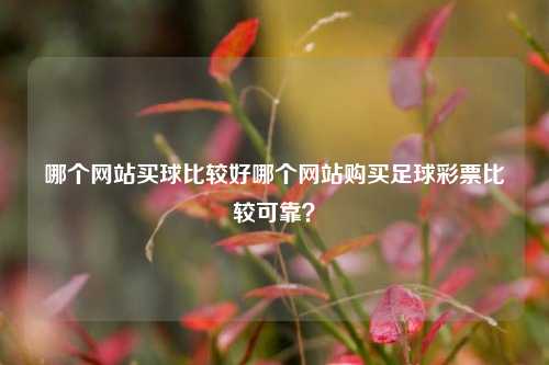 哪个网站买球比较好哪个网站购买足球彩票比较可靠？