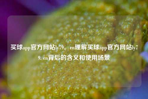 买球app官方网站ly79。cn理解买球app官方网站ly79. cn背后的含义和使用场景
